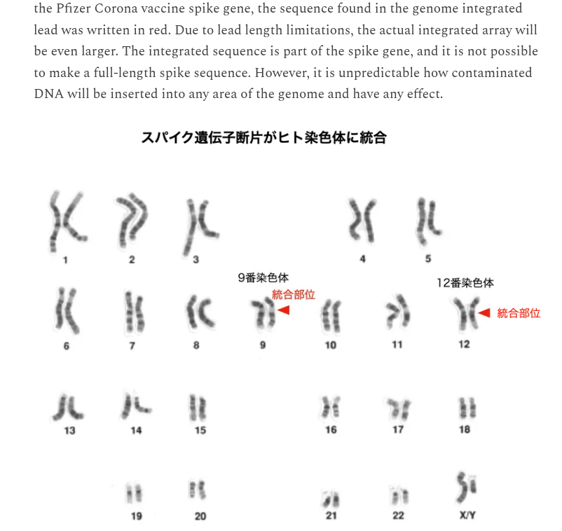 spike gene integrated into the genome