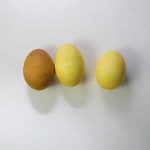Brown eggs do not dye properly with Turmeric