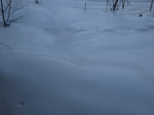 freezing rain: everything is now super slippery