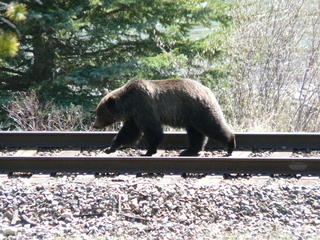 Banff