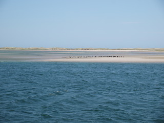 iles de la madeleine