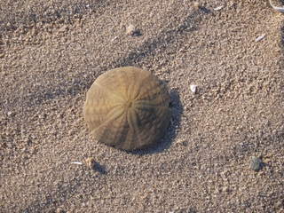 iles de la madeleine