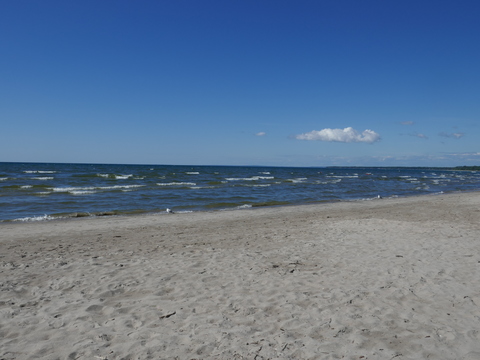 wasaga beach